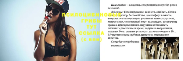 стаф Абаза