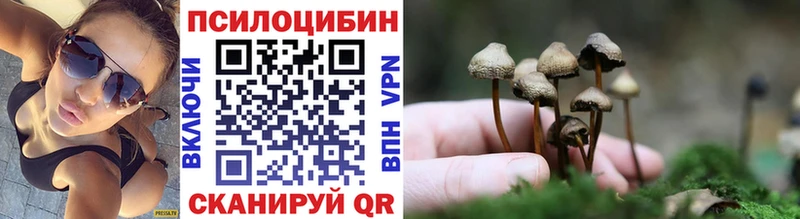 Псилоцибиновые грибы мухоморы  Сураж 